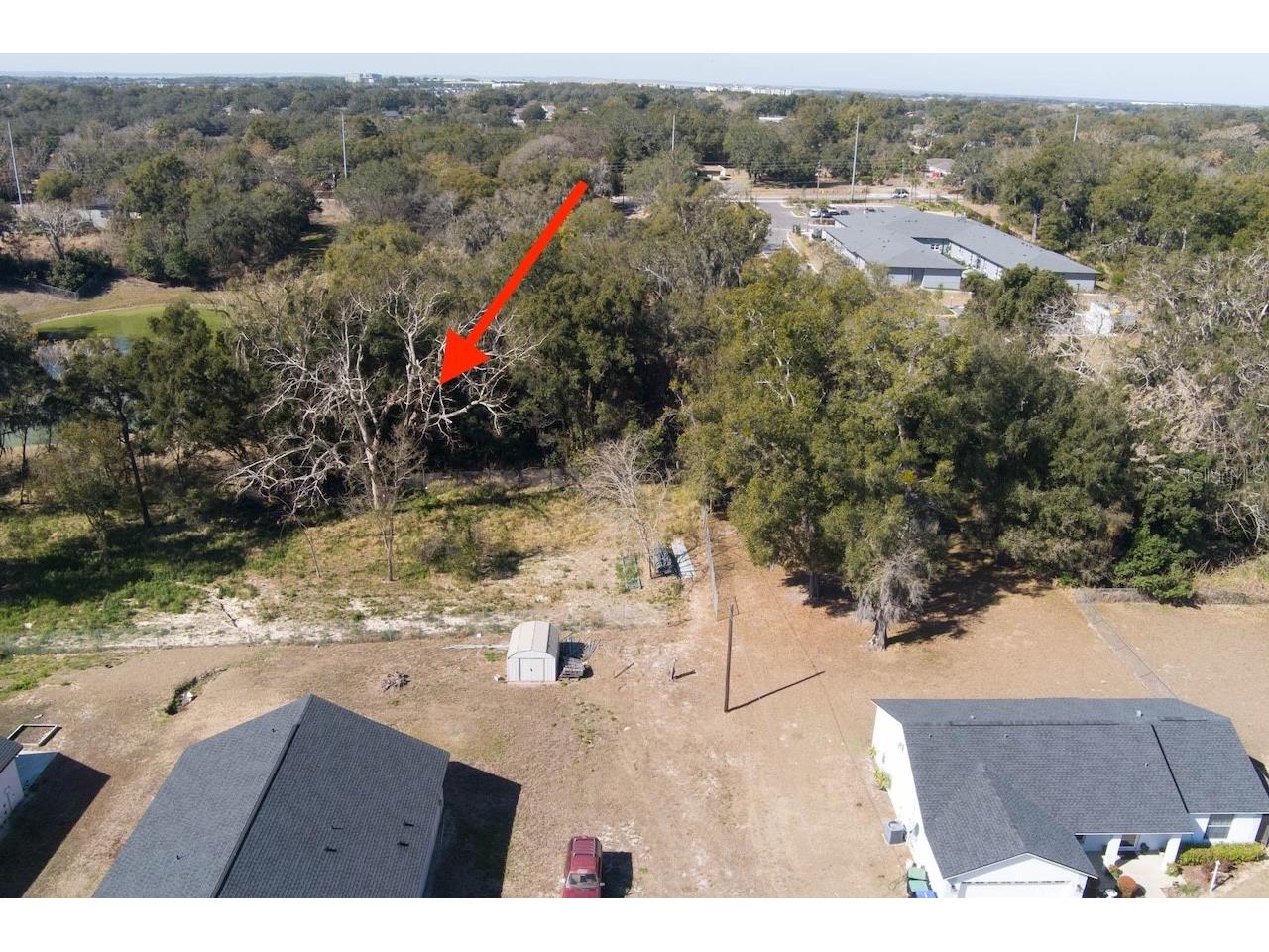 152 Saunders Street Apopka FL 32703 O6382367 image11