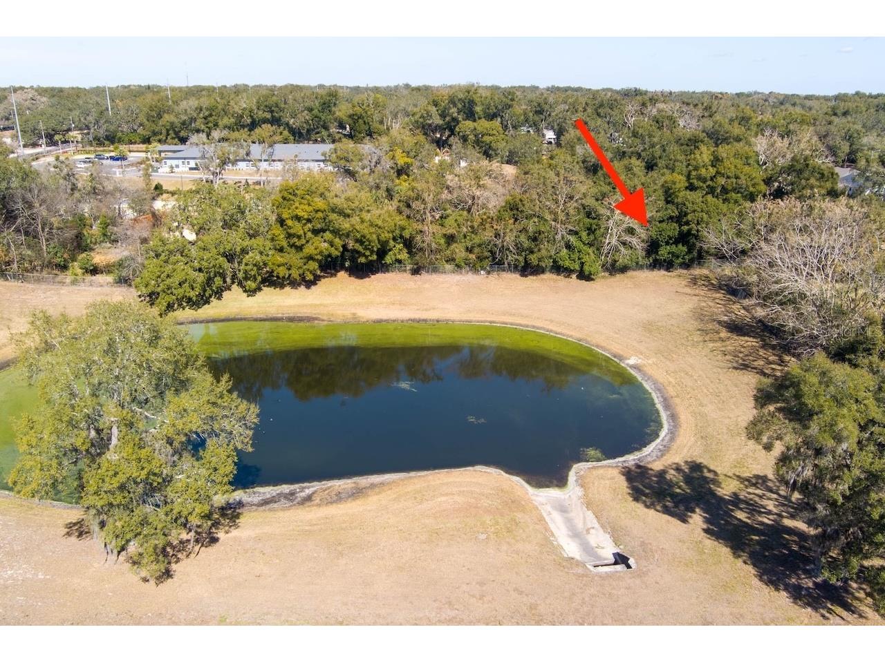 152 Saunders Street Apopka FL 32703 O6382367 image5