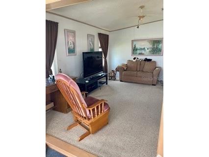 152 Shady Lane #152 Palmetto FL 34221 A4690786 image5