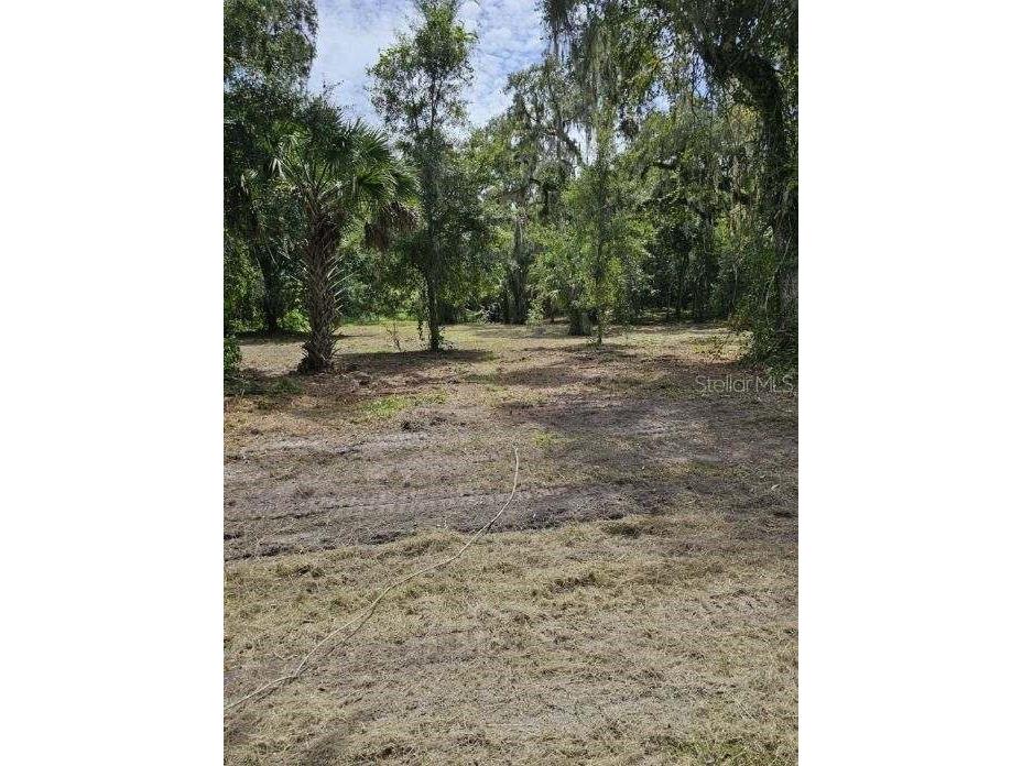 152 Tall Oak Trail Zolfo Springs FL 33890 C7497764 image1