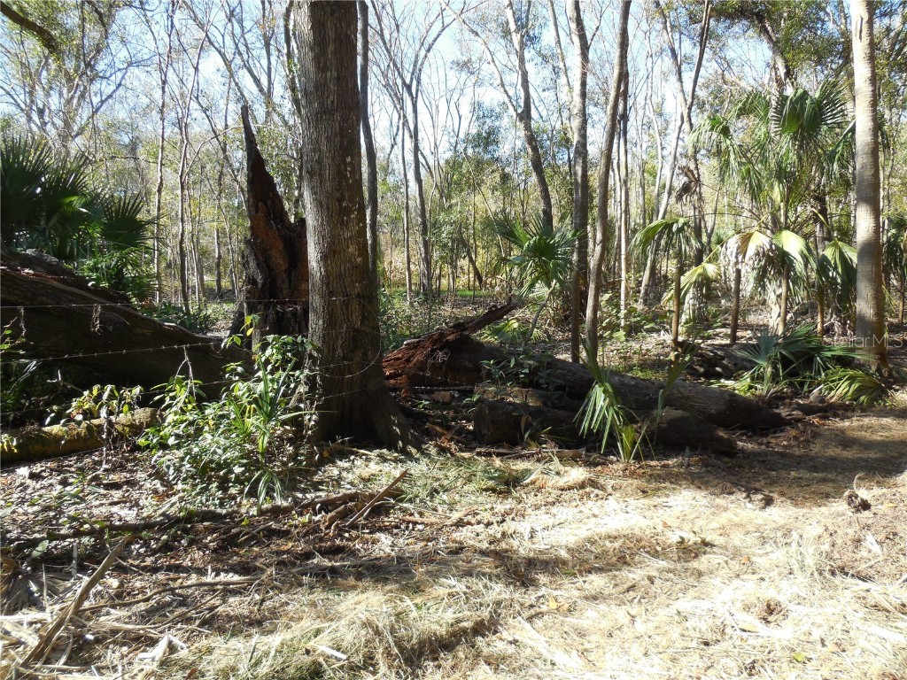 152 Tall Oak Trail Zolfo Springs FL 33890 C7497764 image11