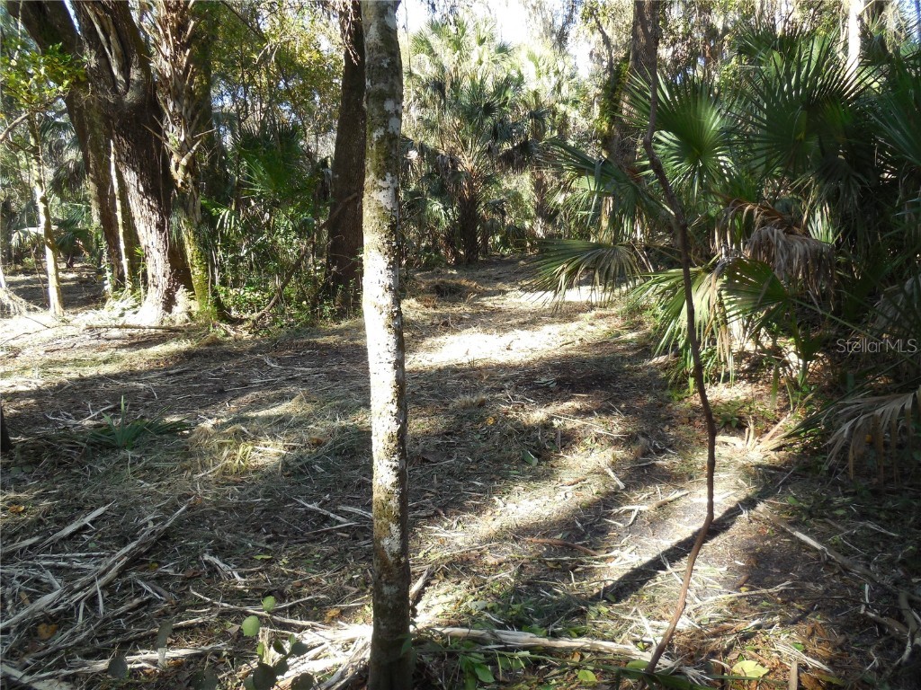 152 Tall Oak Trail Zolfo Springs FL 33890 C7497764 image12