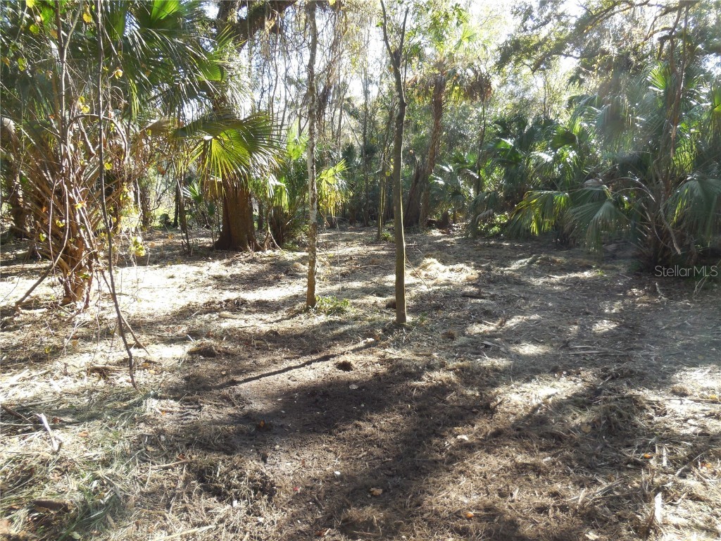 152 Tall Oak Trail Zolfo Springs FL 33890 C7497764 image13