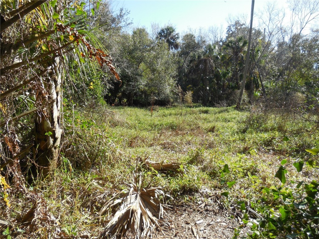 152 Tall Oak Trail Zolfo Springs FL 33890 C7497764 image14