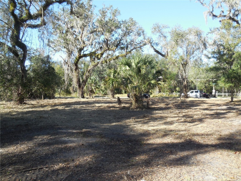 152 Tall Oak Trail Zolfo Springs FL 33890 C7497764 image15