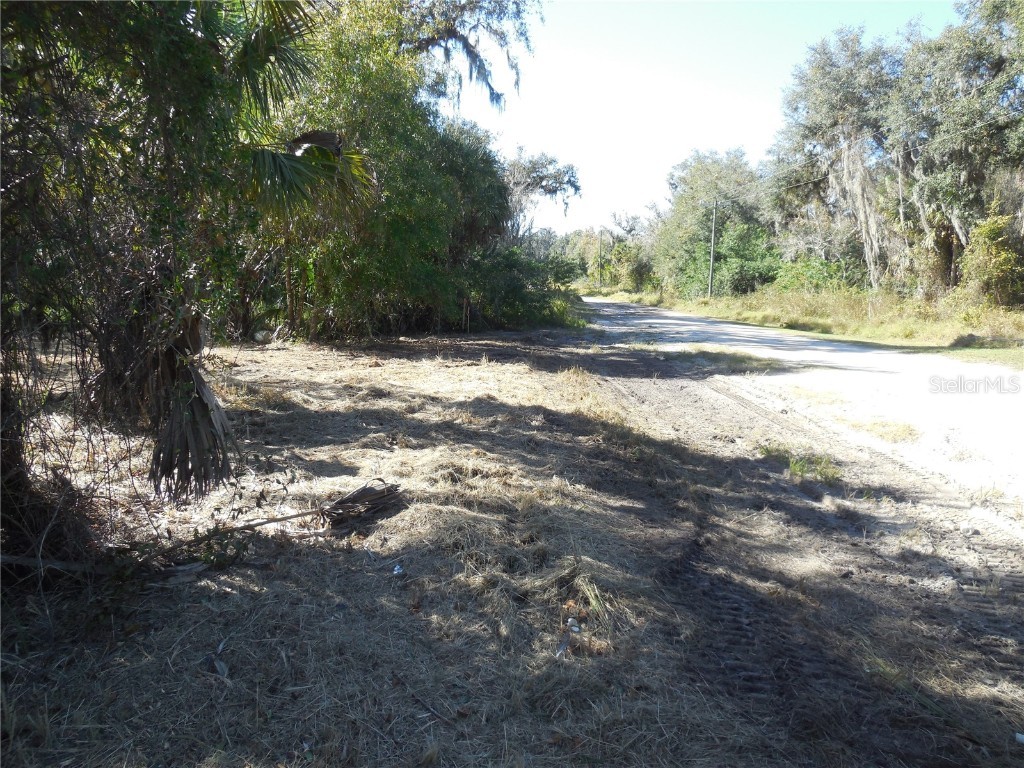 152 Tall Oak Trail Zolfo Springs FL 33890 C7497764 image2