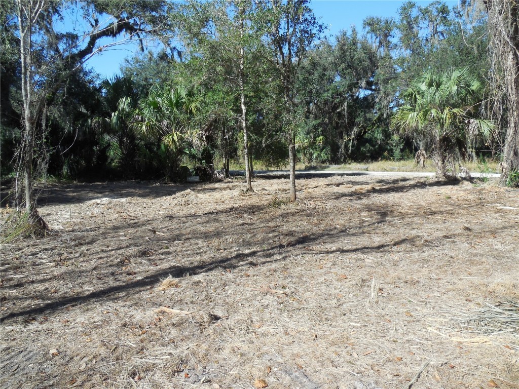 152 Tall Oak Trail Zolfo Springs FL 33890 C7497764 image3