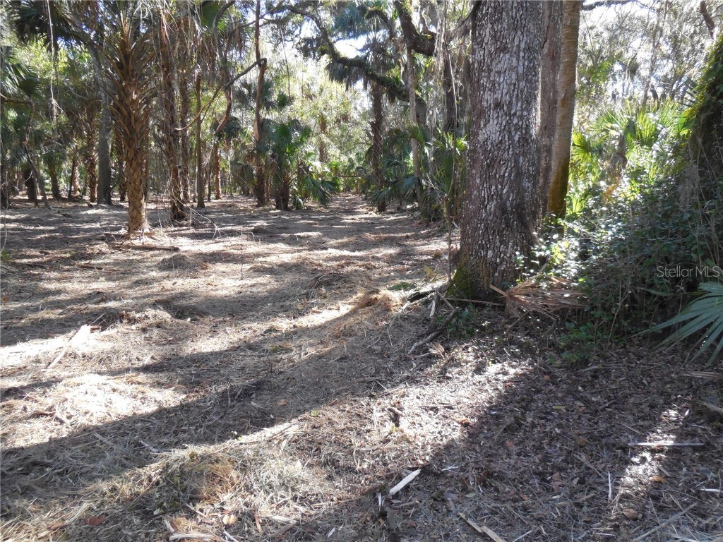 152 Tall Oak Trail Zolfo Springs FL 33890 C7497764 image4