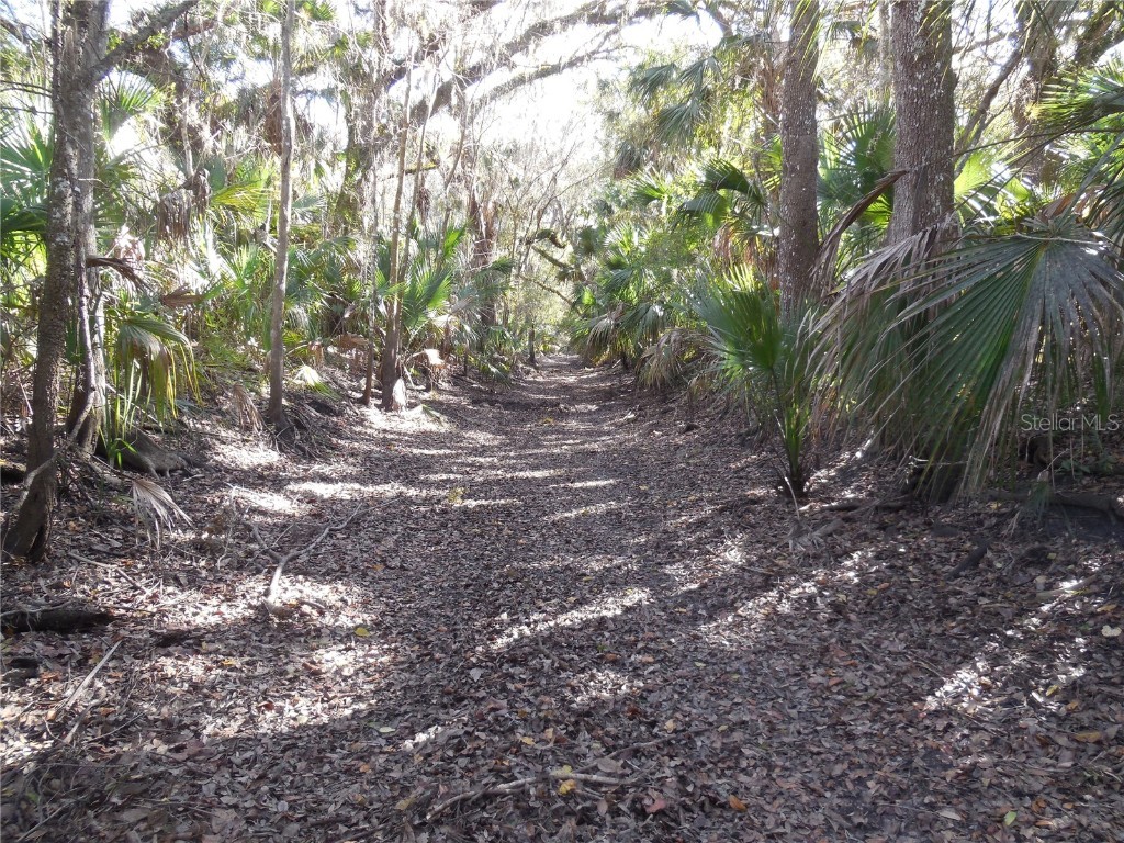 152 Tall Oak Trail Zolfo Springs FL 33890 C7497764 image5