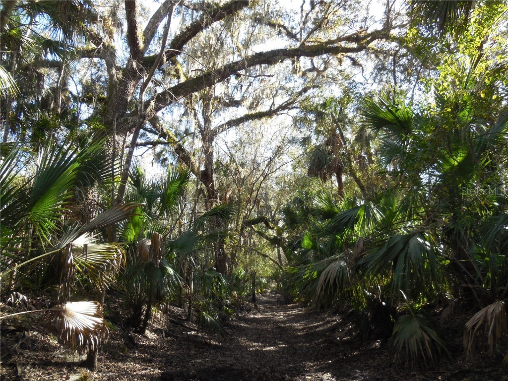 152 Tall Oak Trail Zolfo Springs FL 33890 C7497764 image7