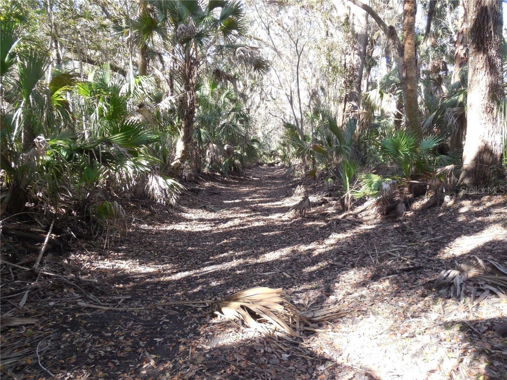 152 Tall Oak Trail Zolfo Springs FL 33890 C7497764 image8