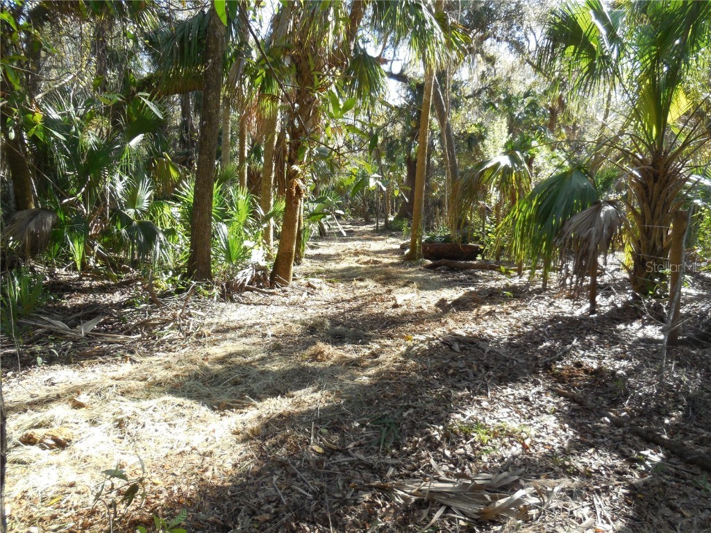 152 Tall Oak Trail Zolfo Springs FL 33890 C7497764 image9