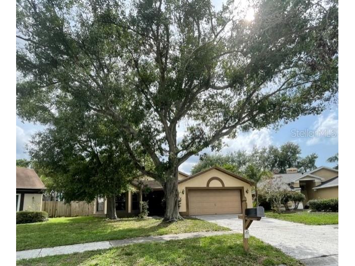 1520 Attleboro Lane Brandon FL 33511 T3539445 image1