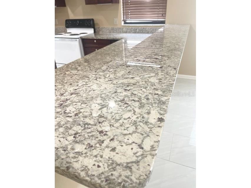 1520 Attleboro Lane Brandon FL 33511 TB8527958 image32