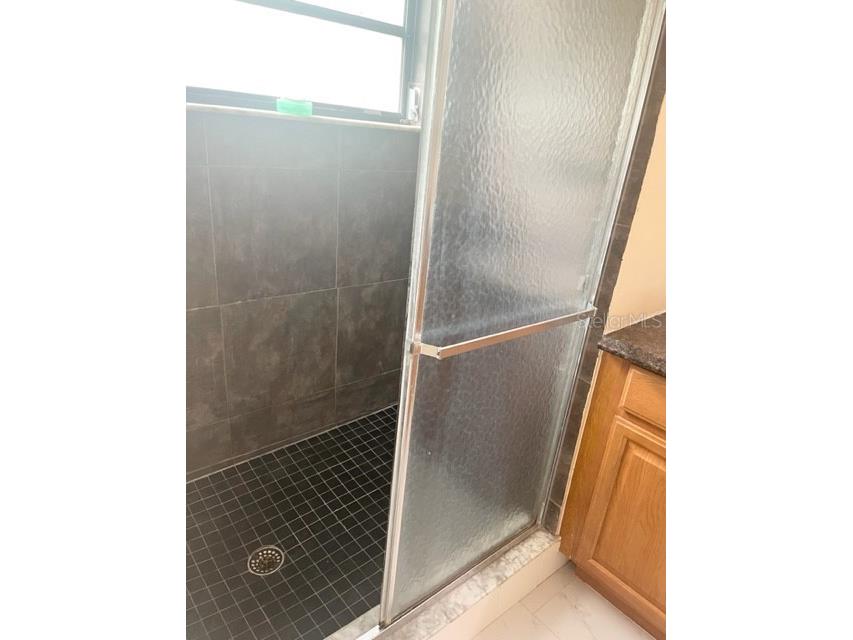 1520 Attleboro Lane Brandon FL 33511 TB8527958 image40