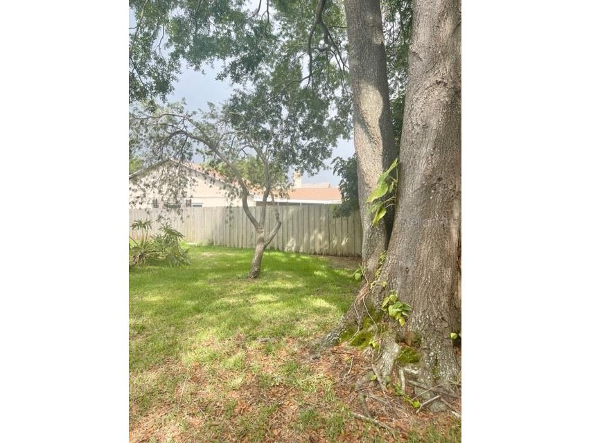 1520 Attleboro Lane Brandon FL 33511 TB8527958 image5