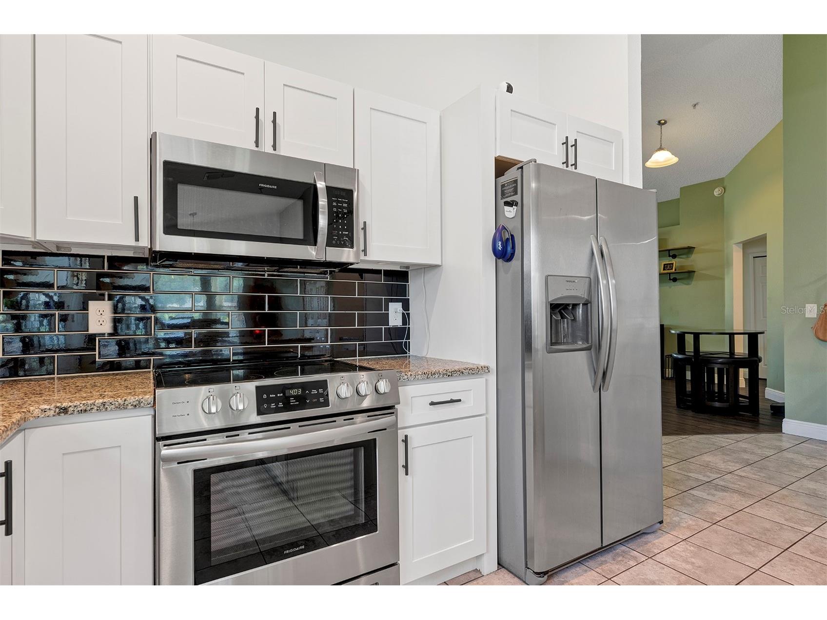 1520 Baywood Village Court Mount Dora FL 32757 V4949131 image16