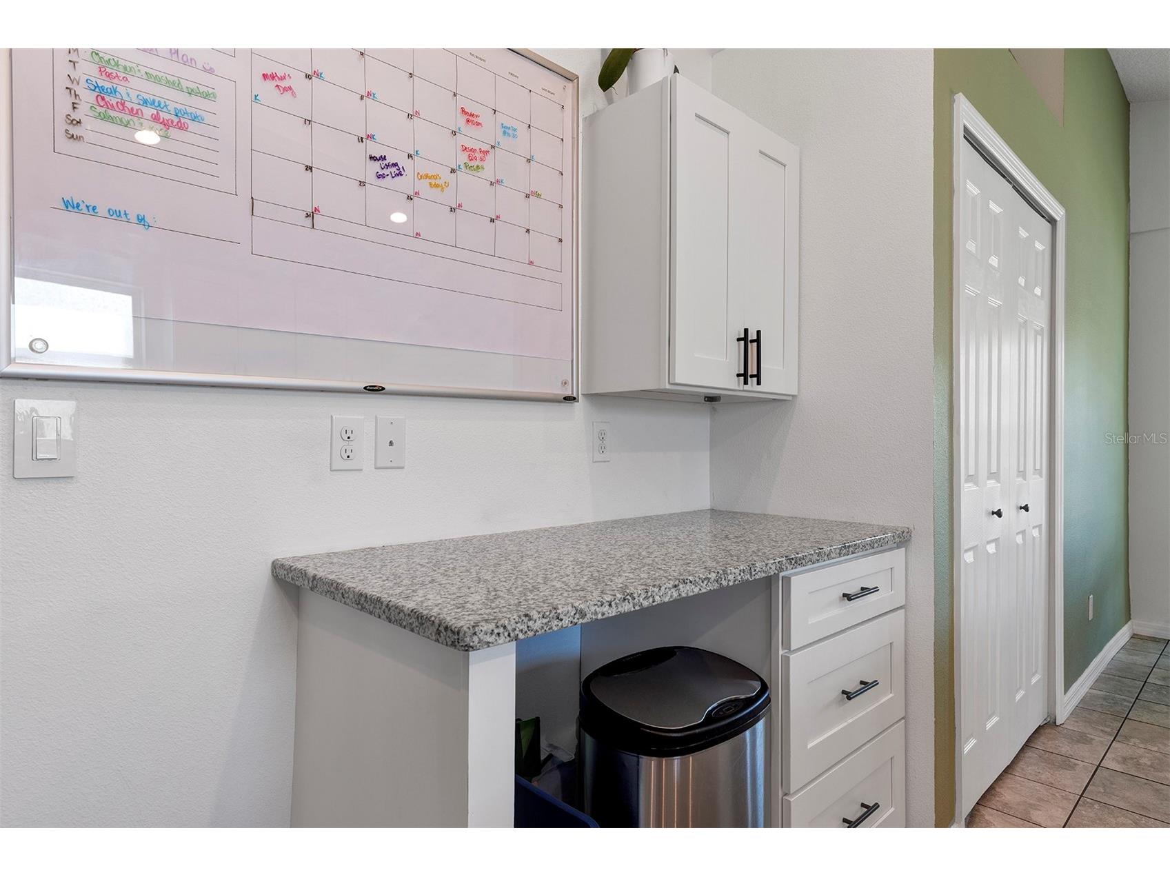 1520 Baywood Village Court Mount Dora FL 32757 V4949131 image17