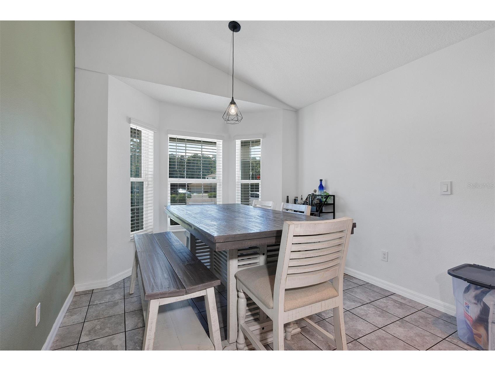 1520 Baywood Village Court Mount Dora FL 32757 V4949131 image19