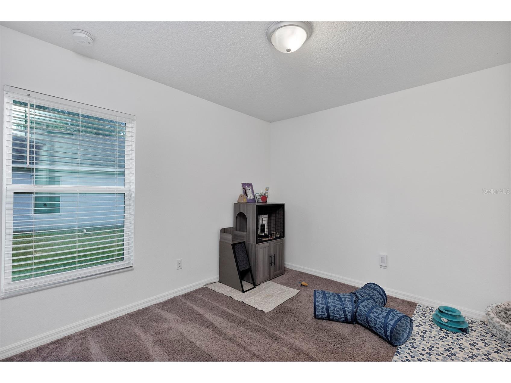 1520 Baywood Village Court Mount Dora FL 32757 V4949131 image26