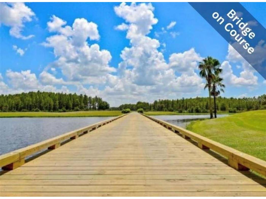 1520 Canberley Court Trinity FL 34655 TB8442380 image32