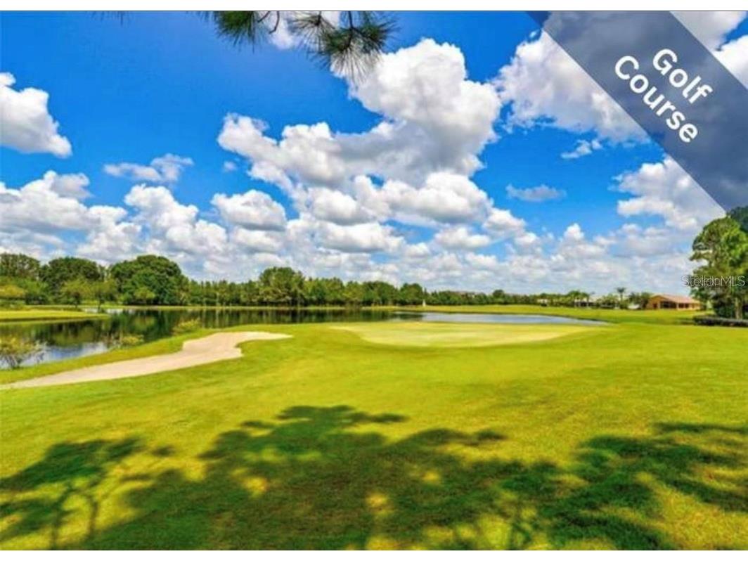 1520 Canberley Court Trinity FL 34655 TB8442380 image33