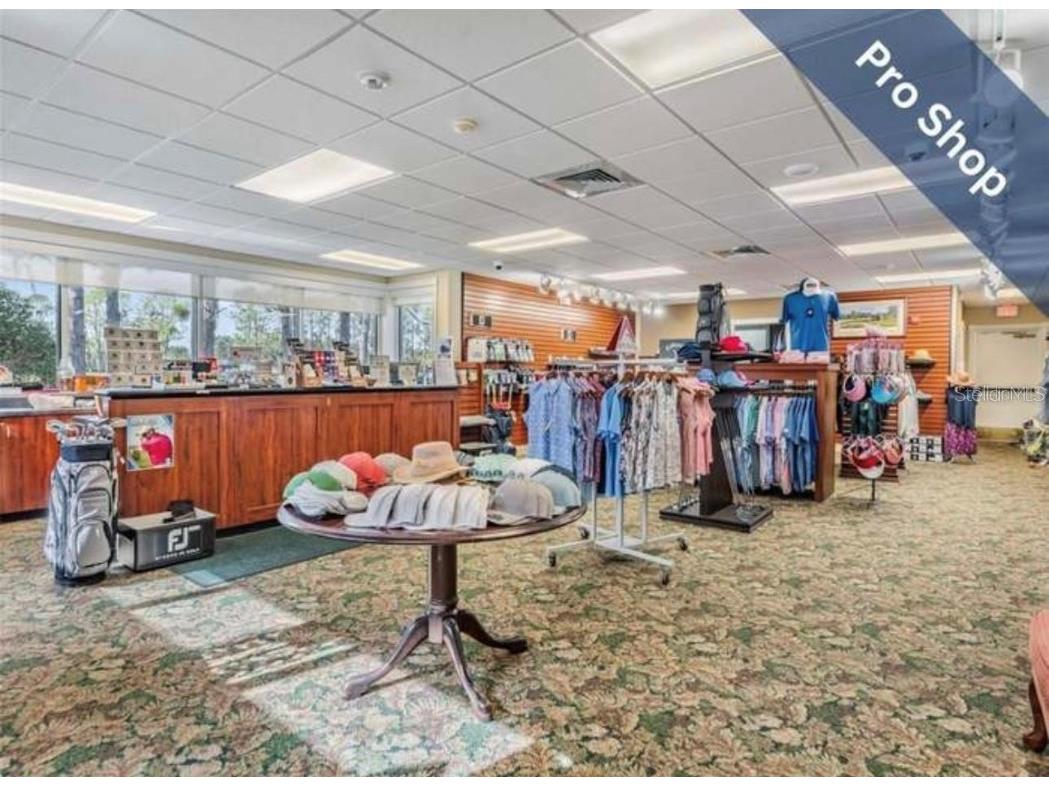 1520 Canberley Court Trinity FL 34655 TB8442380 image35