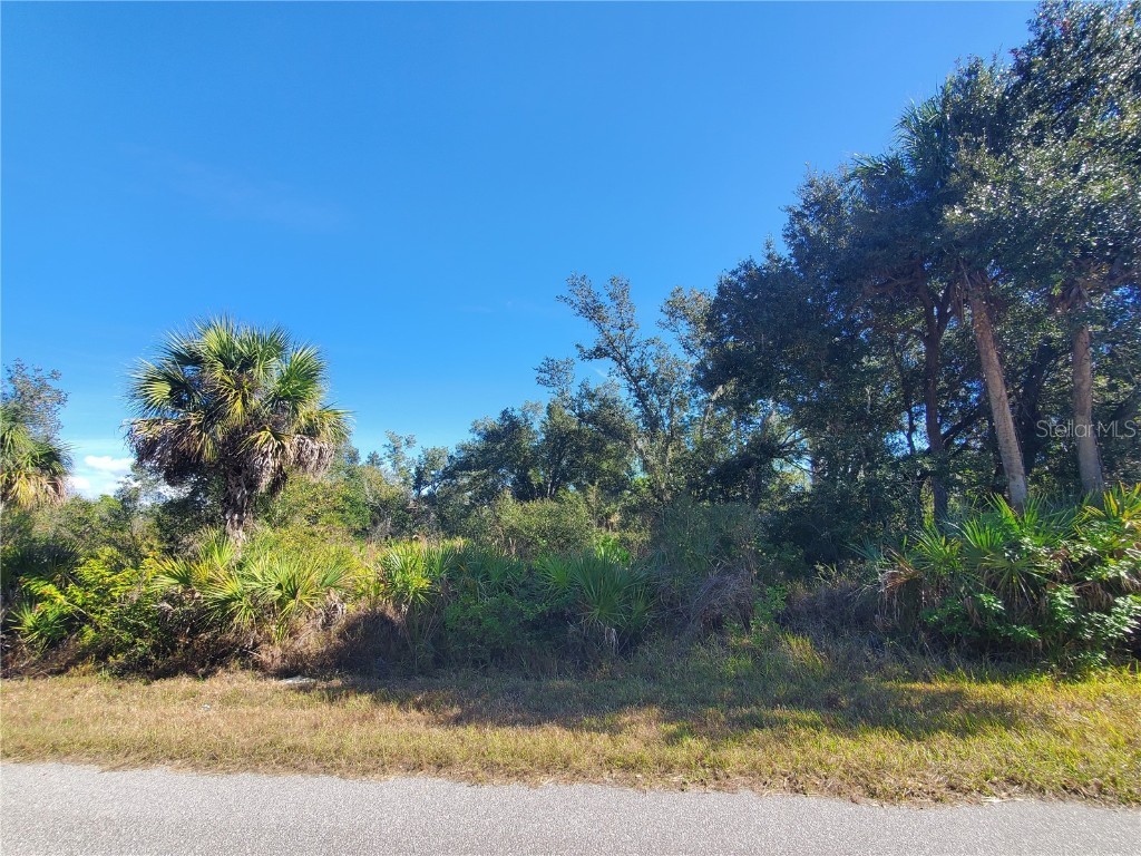 1520 Capel Street Port Charlotte FL 33953 C7519828 image2