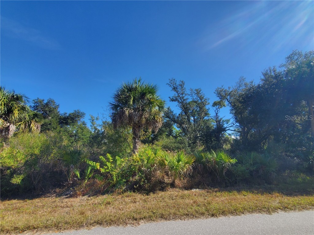1520 Capel Street Port Charlotte FL 33953 C7519828 image3