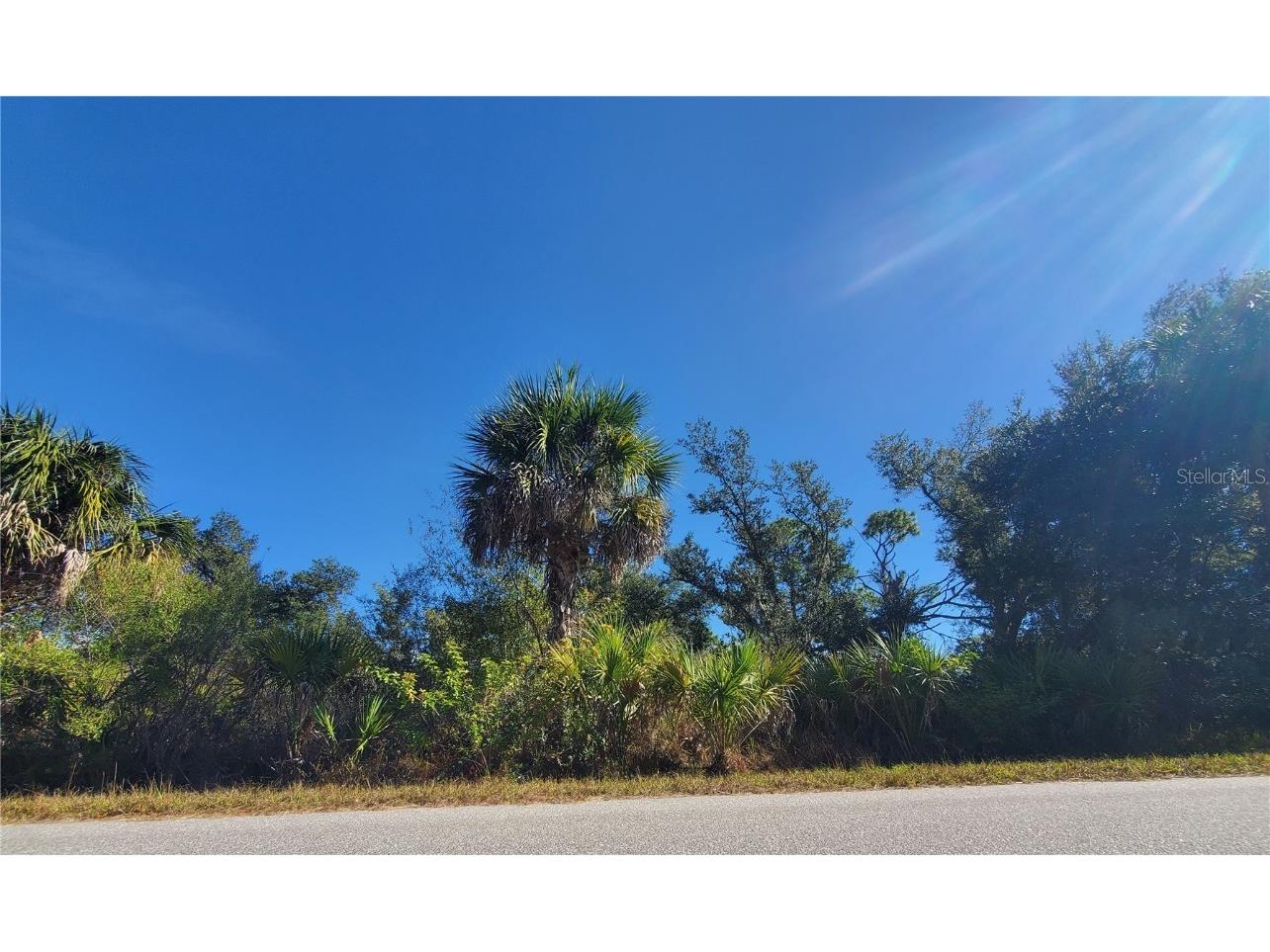 1520 Capel Street Port Charlotte FL 33953 C7519828 image4