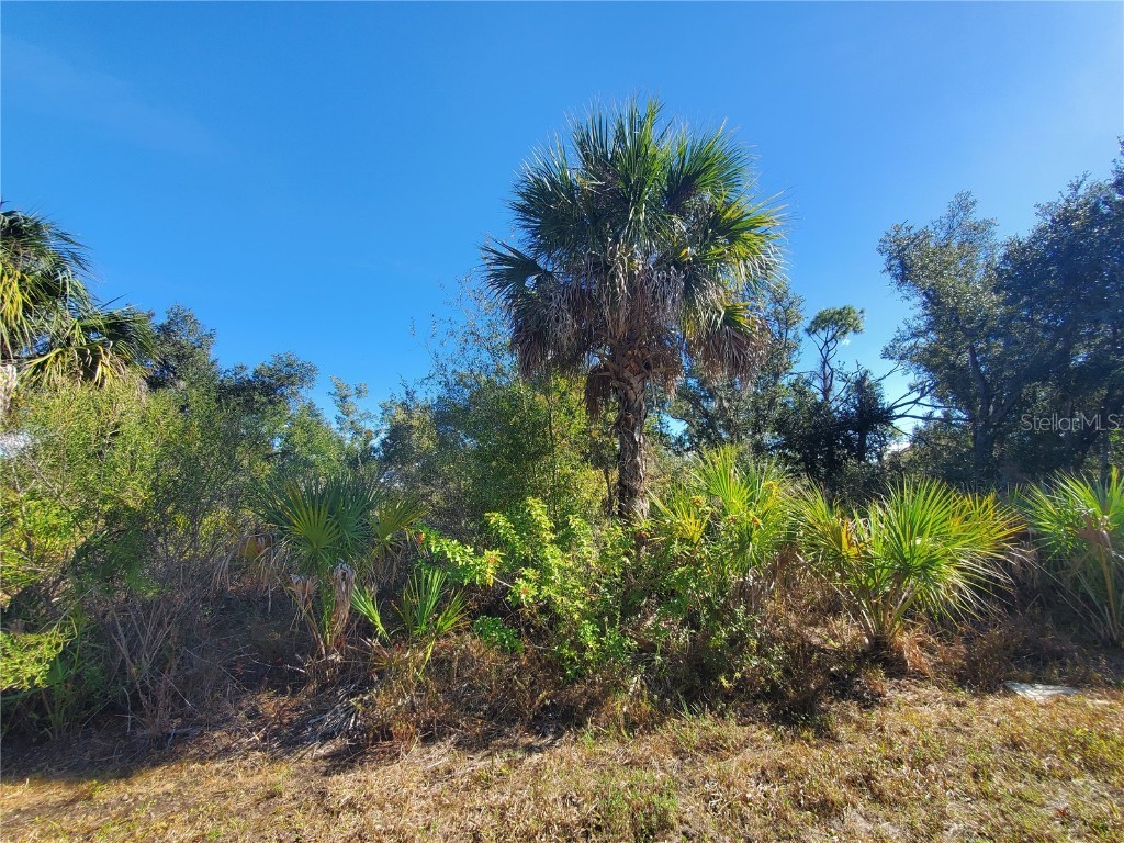 1520 Capel Street Port Charlotte FL 33953 C7519828 image5