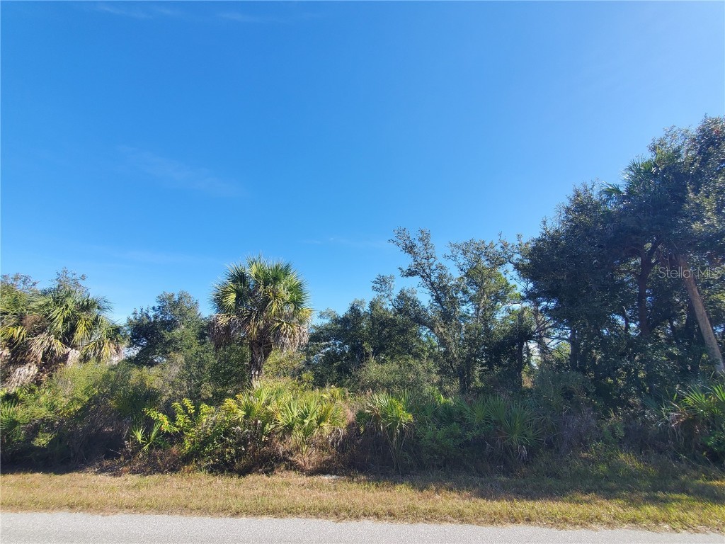 1520 Capel Street Port Charlotte FL 33953 C7519828 image8