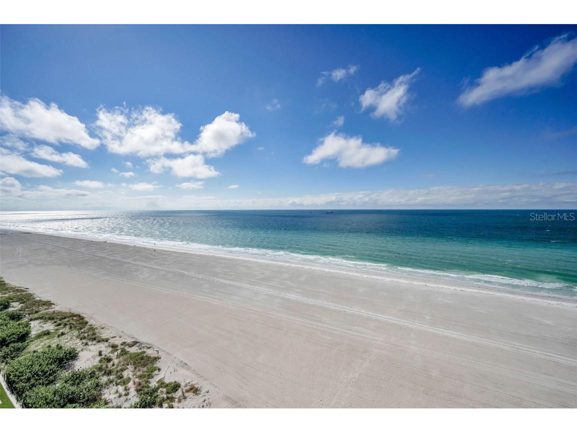 1520 Gulf Boulevard #1101 Clearwater Beach FL 33767 - GULF OF MEXICO TB8441634 image24