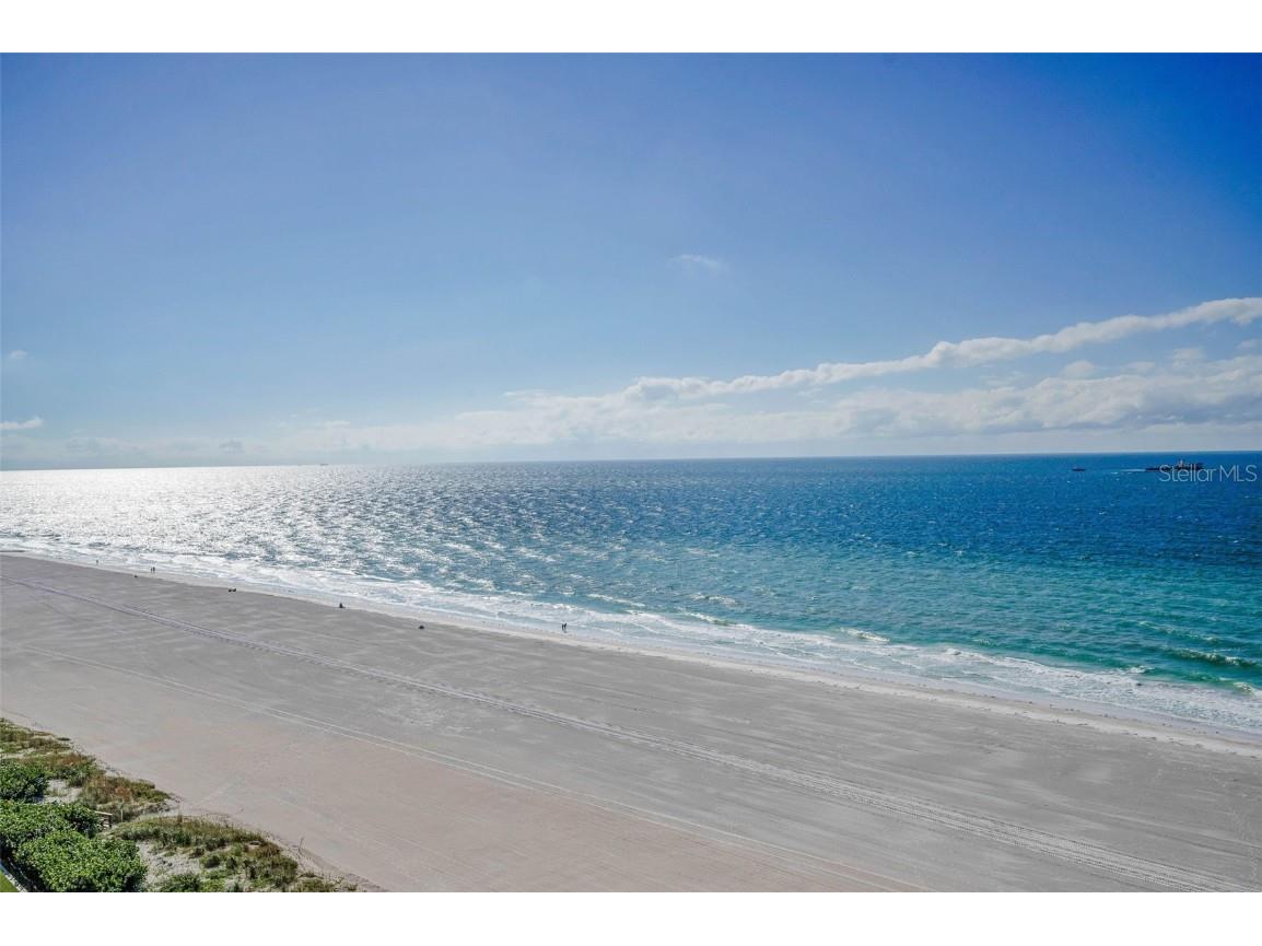 1520 Gulf Boulevard #1101 Clearwater Beach FL 33767 - GULF OF MEXICO TB8441634 image57