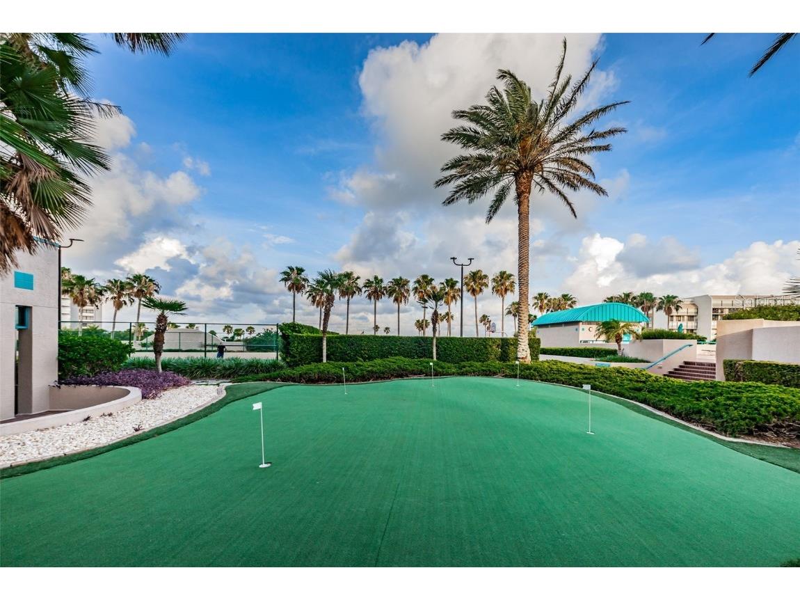 1520 Gulf Boulevard #1101 Clearwater Beach FL 33767 - GULF OF MEXICO TB8441634 image91