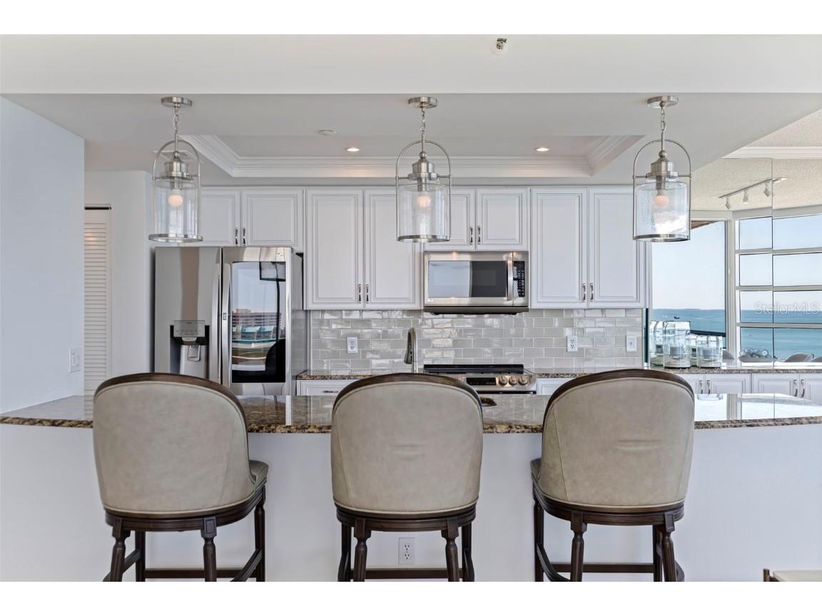 1520 Gulf Boulevard #1502 Clearwater Beach FL 33767 TB8434665 image13