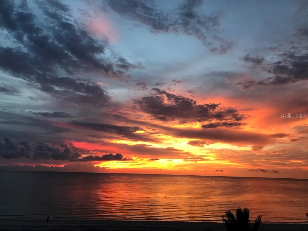 1520 Gulf Boulevard #1502 Clearwater Beach FL 33767 TB8434665 image81