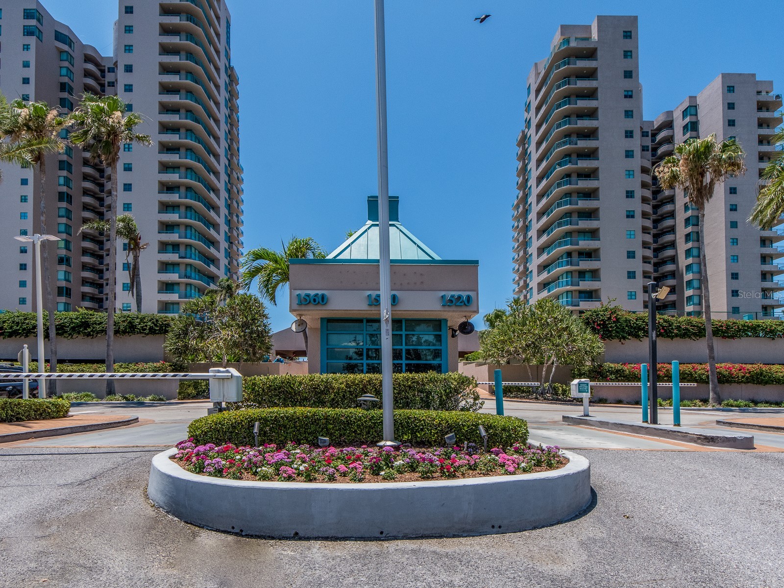 1520 Gulf Boulevard #1505 Clearwater Beach FL 33767 TB8390236 image1