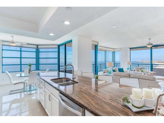 1520 Gulf Boulevard #1602 Clearwater Beach FL 33767 - GULF OF MEXICO TB8344113 image20