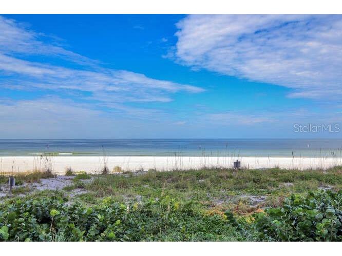 1520 Gulf Boulevard #1602 Clearwater Beach FL 33767 - GULF OF MEXICO TB8484419 image82