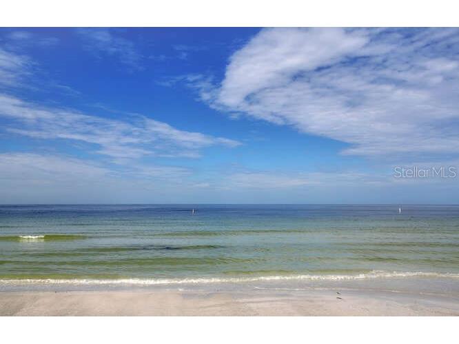 1520 Gulf Boulevard #1602 Clearwater Beach FL 33767 - GULF OF MEXICO TB8484419 image83