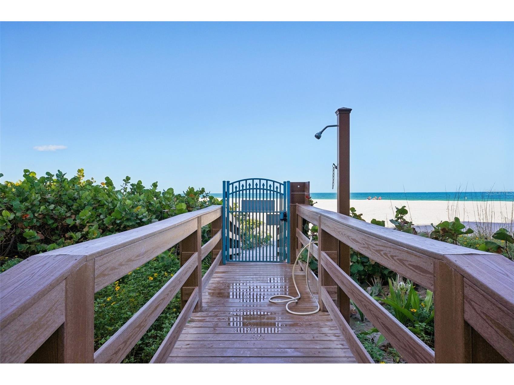 1520 Gulf Boulevard #202 Clearwater Beach FL 33767 TB8496298 image39