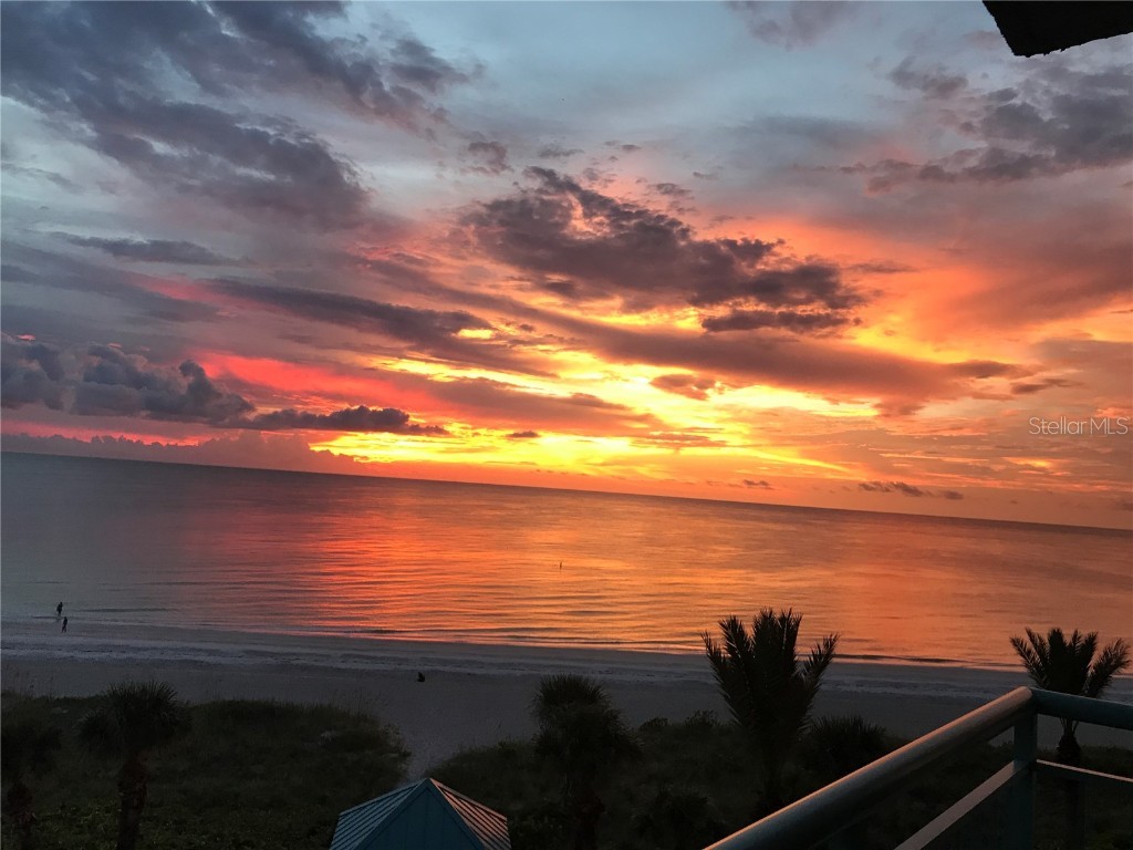 1520 Gulf Boulevard #805 Clearwater Beach FL 33767 - GULF OF MEXICO TB8354467 image1