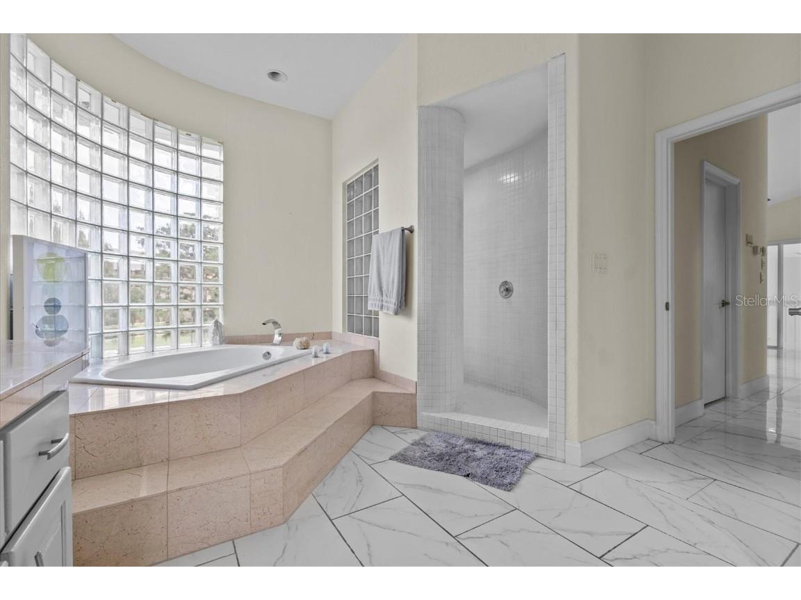 1520 Jade Lane Tarpon Springs FL 34689 TB8408962 image25