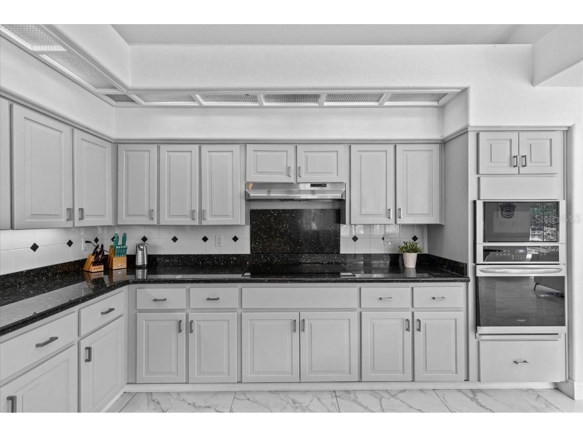 1520 Jade Lane Tarpon Springs FL 34689 TB8408962 image36