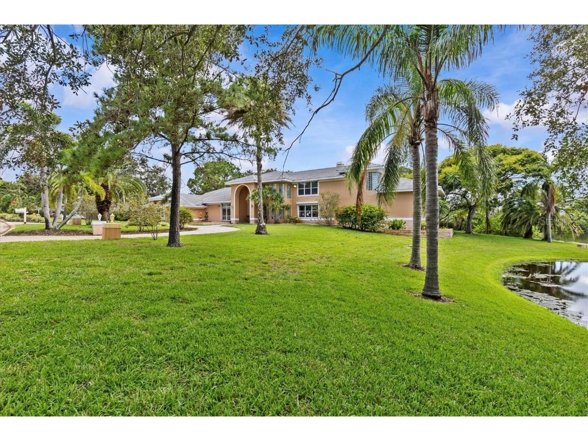 1520 Jade Lane Tarpon Springs FL 34689 TB8408962 image72
