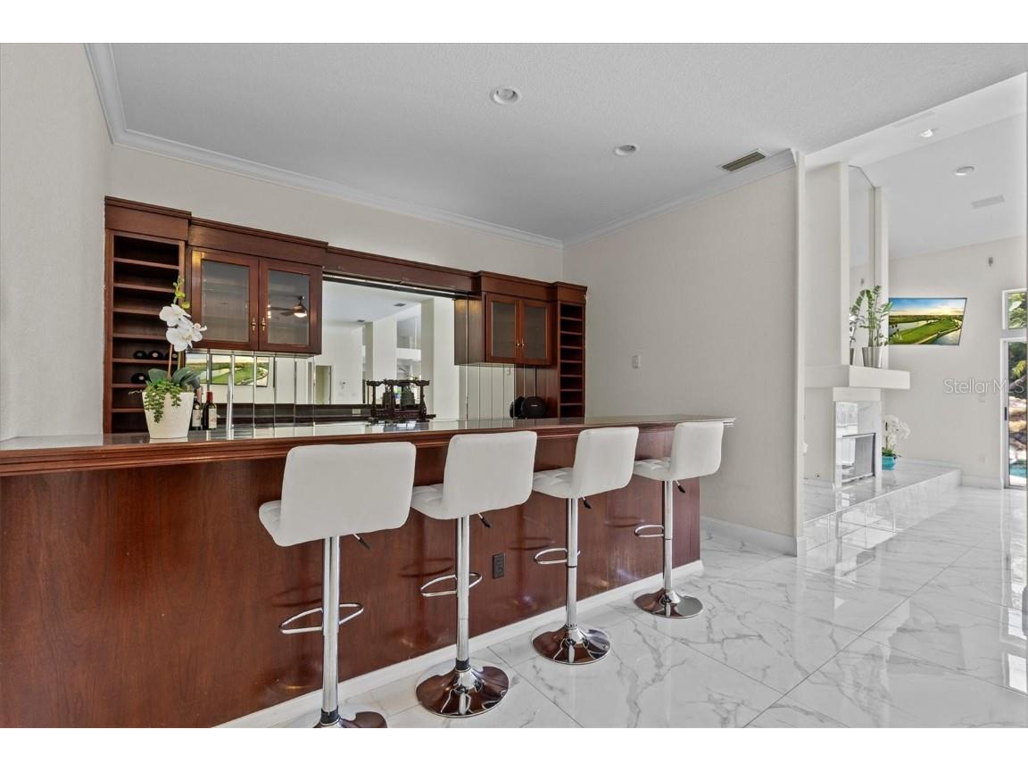 1520 Jade Lane Tarpon Springs FL 34689 TB8440164 image49