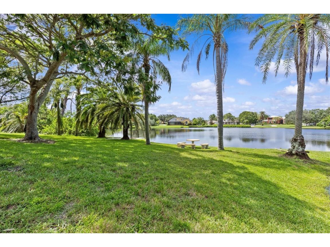 1520 Jade Lane Tarpon Springs FL 34689 TB8440164 image73