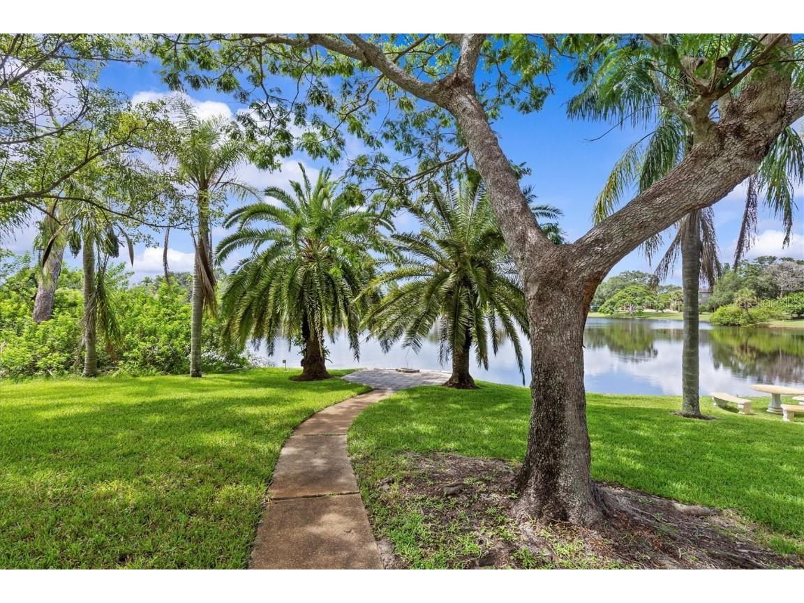 1520 Jade Lane Tarpon Springs FL 34689 TB8440164 image75