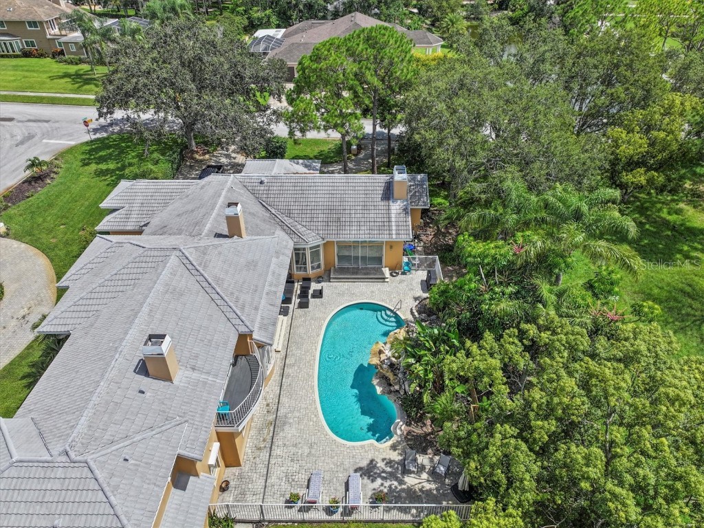 1520 Jade Lane Tarpon Springs FL 34689 TB8440164 image78